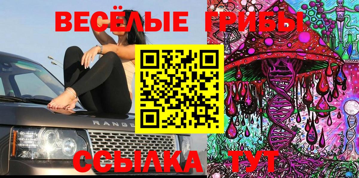 Псилоцибиновые грибы Cubensis  Вход с VPN  Семёнов  Псилоцибиновые грибы мухоморы 