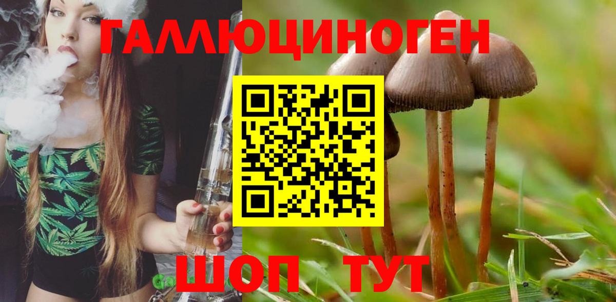 Псилоцибиновые грибы прущие грибы Семёнов
