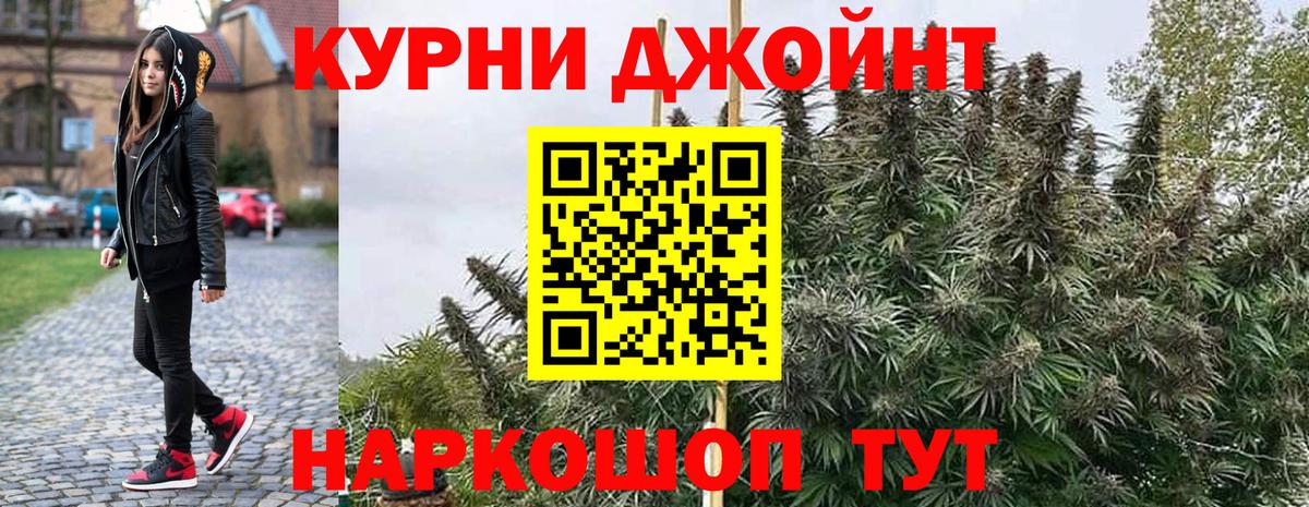 Канабис гибрид Семёнов